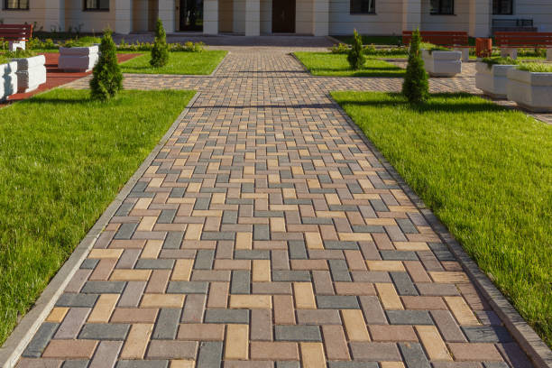 Best Local Driveway Pavers  in Cave City, KY